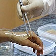 Производство биотехнологической кожи начато в России 
